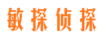 点军出轨调查